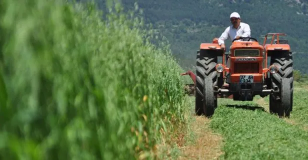 14 Mayıs Çiftçiler Günü mesajları ve sözleri! Çiftçiler Günü'nün önemi nedir? İşte tarihçesi...