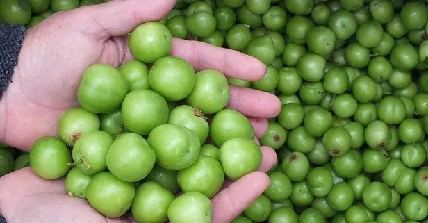 Sağlık için çok g’erik’li!