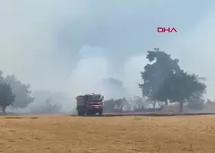 Çanakkale’de orman yangını