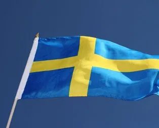 İsveç’te ırkçı partiden ırkçı vaat