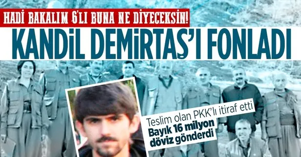 Teslim olan PKK’lı terörist Merdan Rüştü Ovalıoğlu itiraf etti: Kandil’den Selahattin Demirtaş’a 16 milyon döviz!