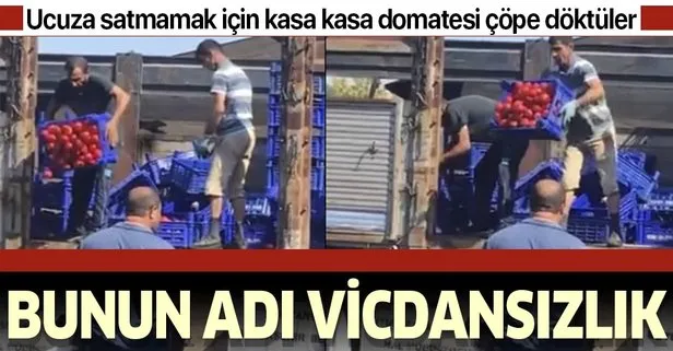 İstanbul Bayrampaşa halinde ucuza satmamak için kasa kasa domatesi çöpe döktüler