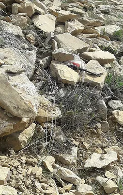 Tunceli'de PKK'ya büyük darbe