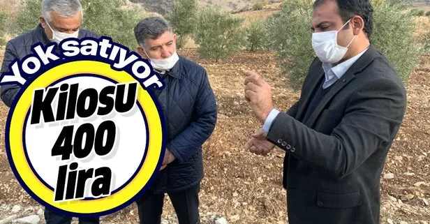 Kilosu 400 lira! Yok satıyor