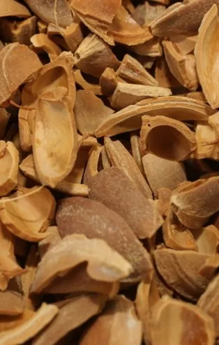 Rüyada kabuk görmek ne anlama gelir?