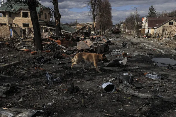 cumhurbaskanligi-sozcusu-ibrahim-kalin-financial-timesa-konustu-bucadaki-goruntuler-muzakereleri-zorlastiriyor-1649337855400.jpg Cumhurbaşkanlığı Sözcüsü İbrahim Kalın Financial Times'a konuştu: Buça'daki görüntüler müzakereleri zorlaştırıyor-7