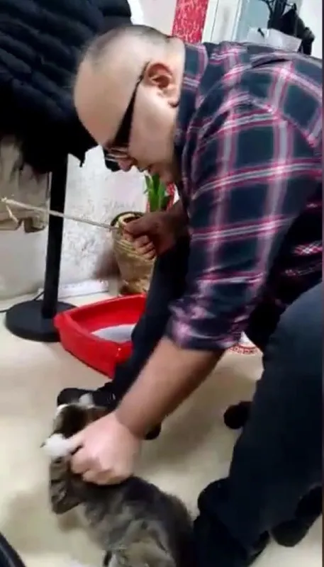 Kan donduran görüntüler! Kediye işkence anları saniye saniye kaydedildi - 6