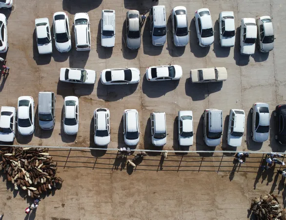 Yoğun talep var! Herkes oraya akın ediyor