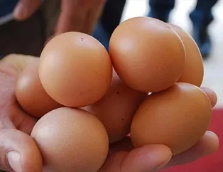 Yumurtayla formda kal