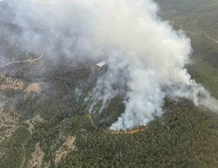 Türkiye genelinde 20 orman yangını çıktı!