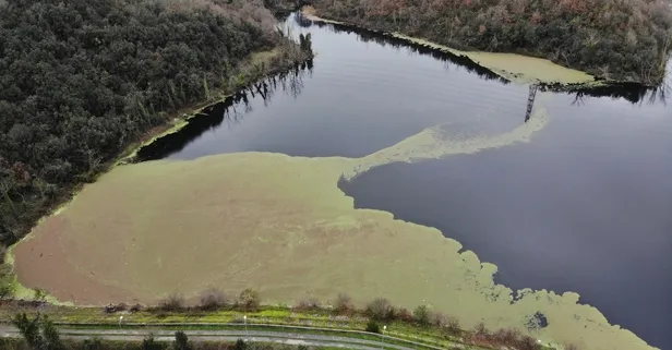 İstanbul'un ihtiyacını karşılayan Elmalı Barajı'nda su seviyesi yüzde 24,23'e düştü yeşil tabaka kaplandı
