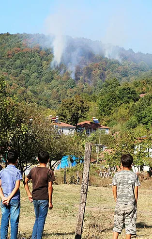 Adapazarı'nda çıkan orman yangını söndürüldü
