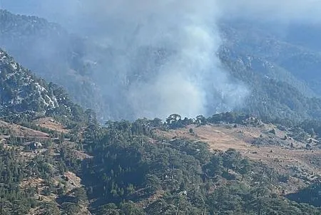 Muğla’da orman yangını