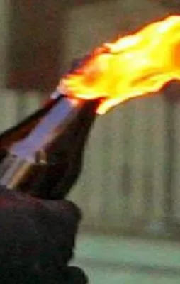 Avusturya'da Türk derneğine hain saldırı