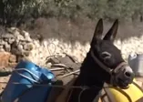 CHP'li belediyenin 'su işkencesi'