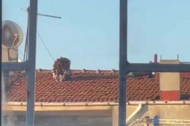 Çatıda tehlikeli yoga keyfi kamerada