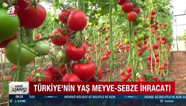226 milyon dolarlık domates