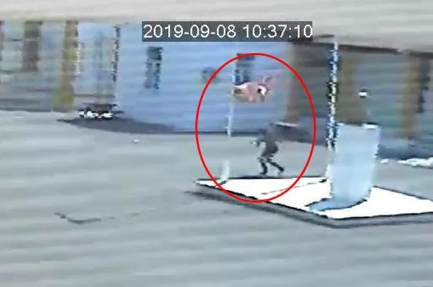 KKTC polisi, okuldaki Türk bayrağını indiren Rum’u arıyor! Rauf Denktaş'a ait fotoğrafı da alarak kayıplara karıştı