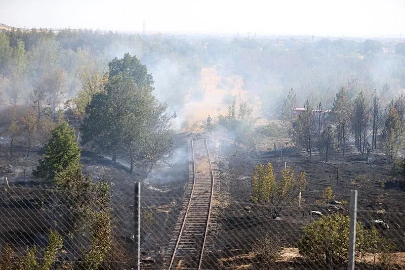 Kırklareli'nde ağaçlık alanda çıkan yangın (AA)