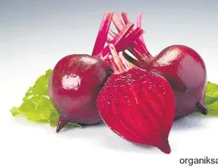 Kansere karşı kırmızı pancar