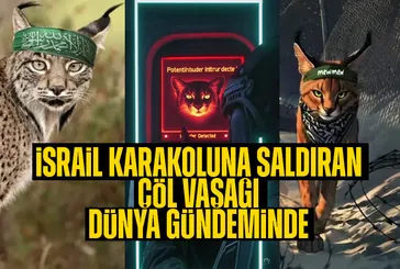 İsrail’e saldıran çöl vaşağı dünya gündeminde! Hayvanlar alemi işgal ordusunu hedef alıyor