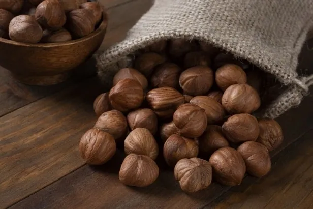 aralik-ayi-findik-fiyatlari-2022-findik-fiyatlari-ne-kadar-kac-tl-oldu-1670323767134.jpg Fındık fiyatları ne kadar, kaç TL oldu? Ordu, Sakarya, Giresun, Samsun... Aralık ayı FINDIK FİYAT LİSTESİ 2022!-3