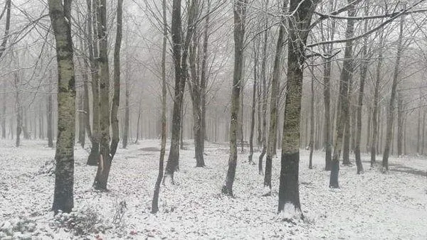 kar-yagisi-istanbulun-yani-basina-geldi-kocaeli-kartepenin-yuksek-kesimleri-beyaza-burundu-1608578728651.jpeg Kar yağışı İstanbul'un yanı başına geldi! Kocaeli Kartepe'nin yüksek kesimleri beyaza büründü | HAVA DURUMU-2