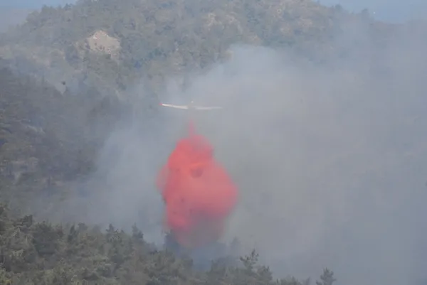 tarim-ve-orman-bakani-vahit-kirisci-meral-aksenerin-orman-yanginlariyla-ilgili-yalanlarina-cevap-verdi-1655889309021.jpg Tarım ve Orman Bakanı Vahit Kirişci Meral Akşener'in orman yangınlarıyla ilgili yalanlarına cevap verdi-6