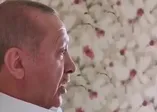 Başkan Erdoğan'dan 'evde kalın' çağrısı: Mücadelemiz güçlü bir şekilde sürsün