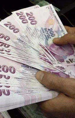Borcunu 6 ayda ödeyene sicil affı