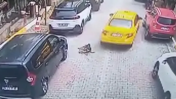kamera-taksicinin-caniligini-kaydetti-eyupsultanda-kopegi-araciyla-ezerek-oldurdu-1623141860212.jpg