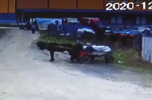 At arabasıyla 4 ton demir çaldılar