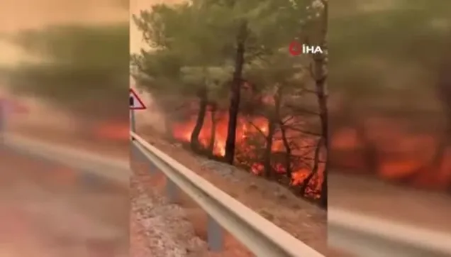 Datça'da orman yangını: Karadan ve havadan müdahale ediliyor!