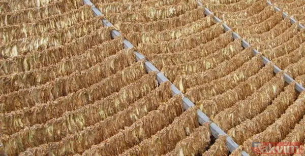 Bu yiyecekler beyne zarar veriyor! - 27