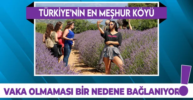 Türkiye'nin lavanta bahçesi! Isparta Kuyucak köyünde koronavirüs görülmedi