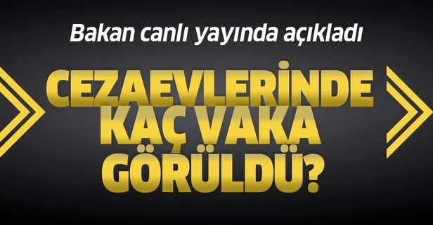 Son dakika: Adalet Bakanı Abdulhamit Gül’den flaş koronavirüs açıklaması