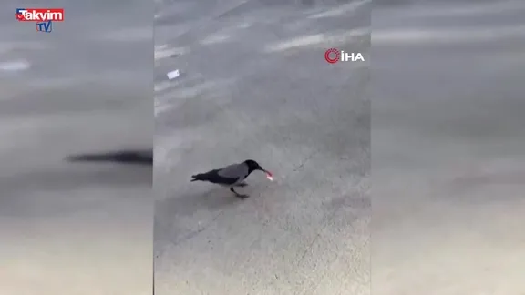 Hatay'da garip olay! Mizah amaçlı video çekmek isterken 10 TL'sini kargaya kaptırdı