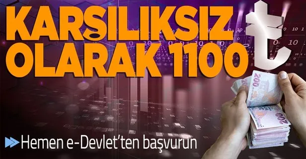 Devlet 1100 TL karşılıksız ödeme yapacak! Hemen e-Devlet’ten başvurun: İşte 1100 TL ödemenin şartları