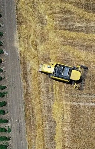 Almanya'da tarım ürünleri fiyatlarında tarihi yükseliş! 1961’den bu yana en kötü tablo