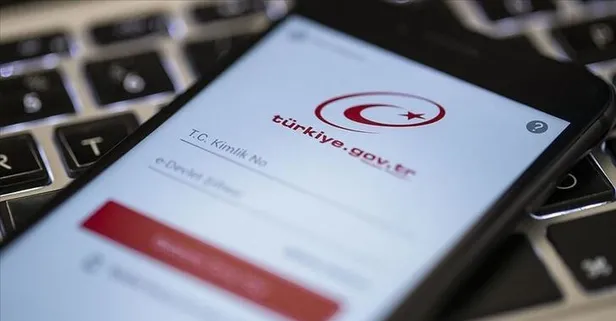 E-devlet kullanımında rekor artış! Mart ayında 3 katına çıktı