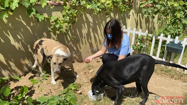 'Daire 16' sözleriyle gündem oldu! Köpük yerinde kalacak - 2