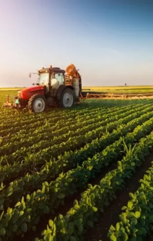 SON DAKİKA: Türkiye İstatistik Kurumu, Tarım ÜFE endekslerini açıkladı!