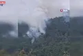 Milas’ta orman yangını!