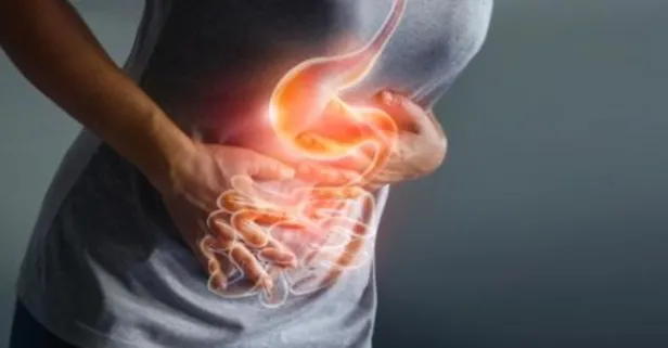 Bağırsaklar sağlık için kritik rol oynuyor!