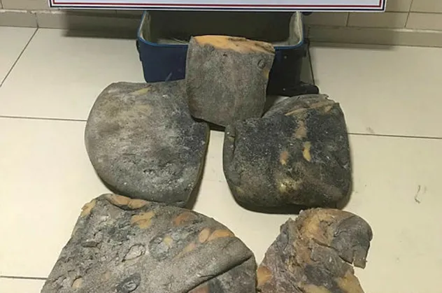 Mersin'de ele geçirildi! Balina kusmuğunun değeri dudak uçuklattı!