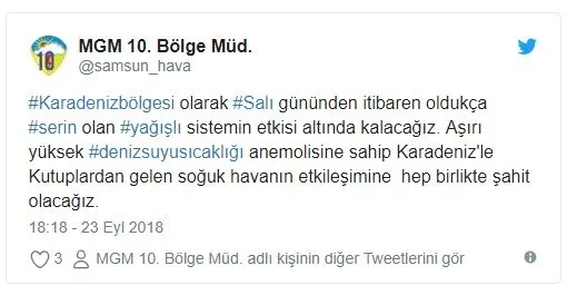 Son dakika: Meteoroloji uyardı! Yarından itibaren dikkat! Kestane karası fırtınası geliyor! Kestane karası fırtınası nedir?-6