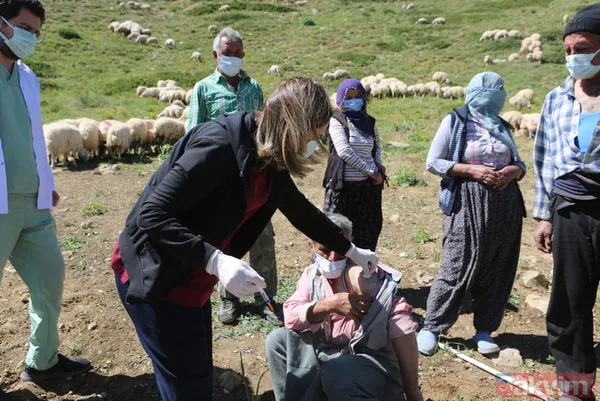 Tunceli'de sürü sahipleri 2 bin 500 metre rakımlı yaylada aşılandı - 16