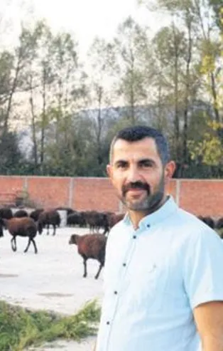 300 koyunluk sürüsü oldu