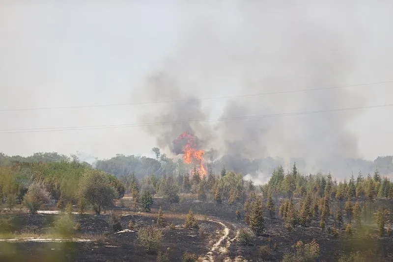 Kırklareli'nde ağaçlık alanda çıkan yangın (AA)