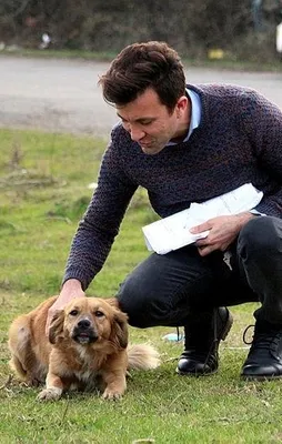 CHP'li belediyeden köpek katliamı